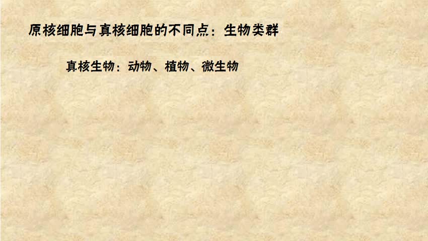 原核细胞与直核细胞的不同点：生物类群