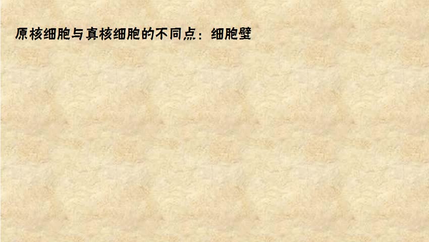 原核细胞与直核细胞的不同点：细胞壁