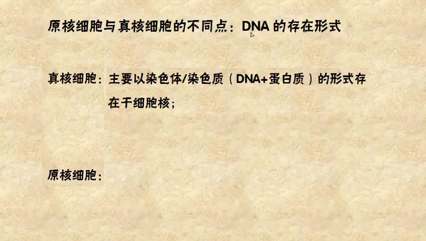 原核生物与真核生物的比较 4