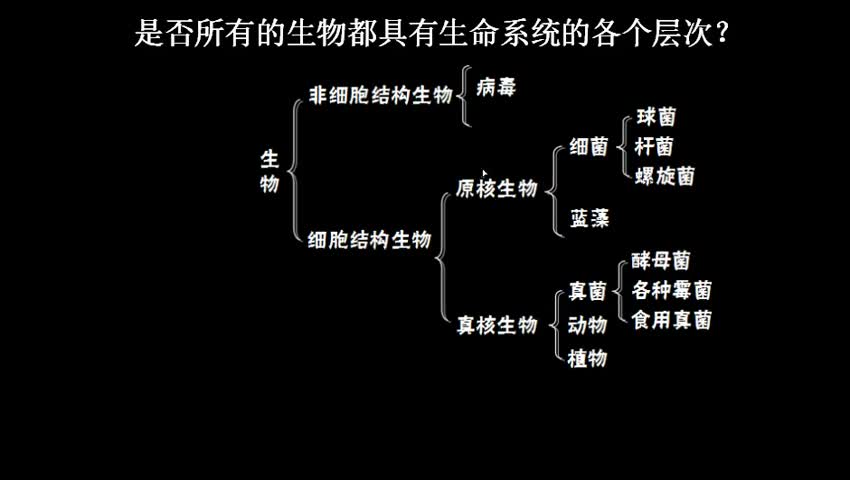 高中生物教案范文_生物教案_说课稿范文 生物