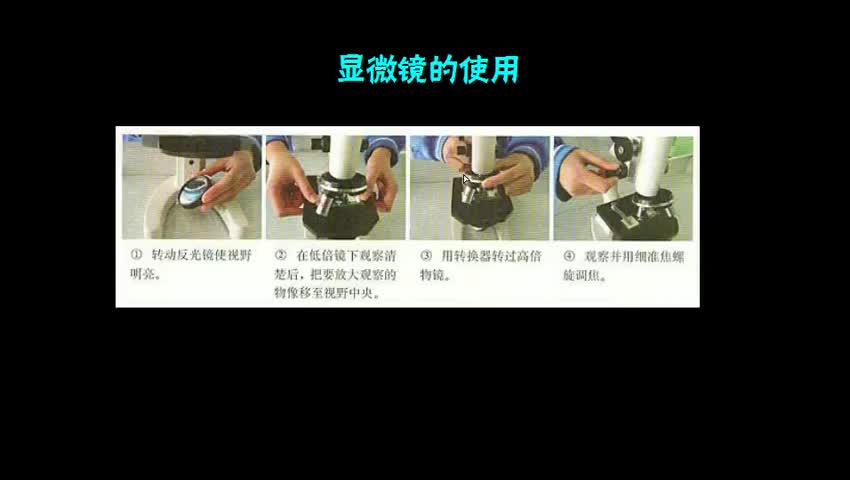 显微镜的使用