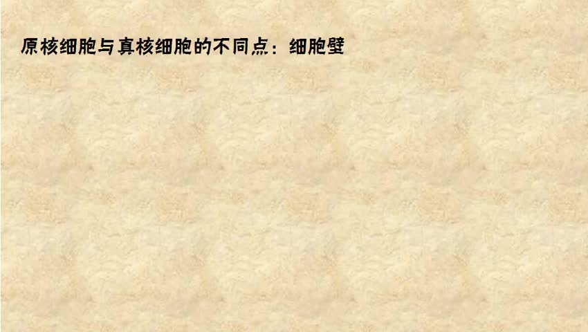 原核生物与真核生物的比较 3