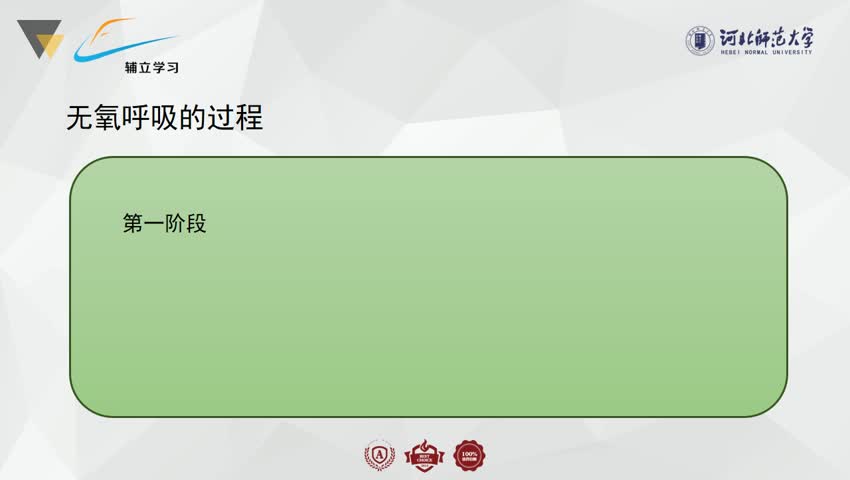 无氧呼吸