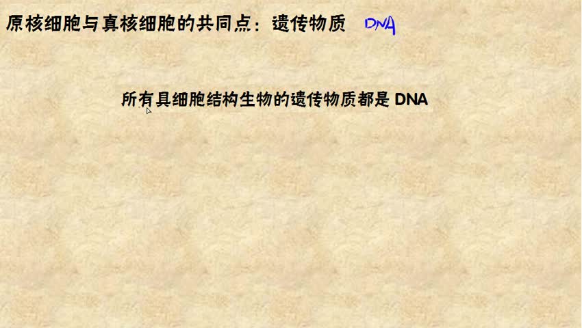  原核细胞与直核细胞的共同点：遗传物质