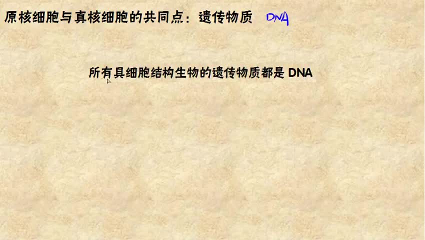 原核生物与真核生物的比较 1